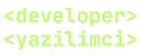 Yazılımcı Dayı